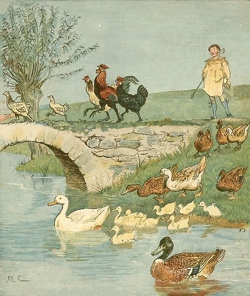The Farmers Boy with chickens and ducks, c1881. Creator: Randolph Caldecott