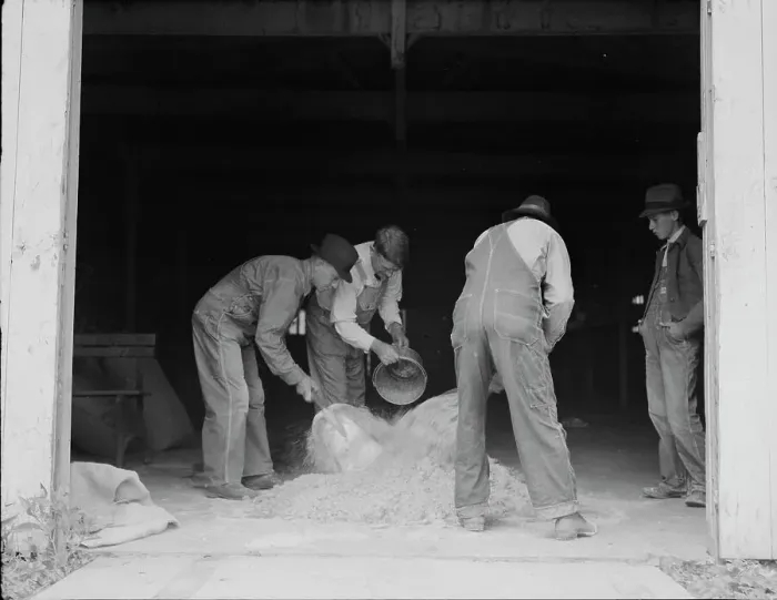 Framed Print : Farmers sack mixed grasshopper bait...Oklahoma, 1937. Creator: Dorothea Lange Framed Print : Farmers sack mixed grasshopper bait...Oklahoma, 1937. Creator: Dorothea Lange