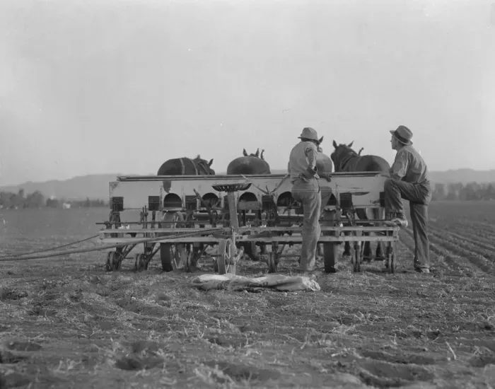 Framed Print : Farmers talking politics, potato fields, California, 1936. Creator: Dorothea Lange Framed Print : Farmers talking politics, potato fields, California, 1936. Creator: Dorothea Lange