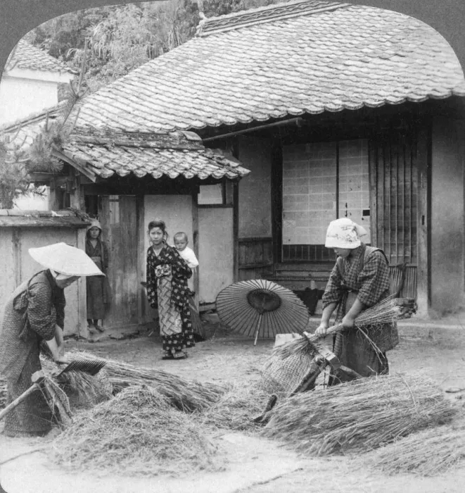 Framed Print : Farmers wives at work, Iwakuni, Japan, 1904. Artist: Underwood & Underwood Framed Print : Farmers wives at work, Iwakuni, Japan, 1904. Artist: Underwood & Underwood