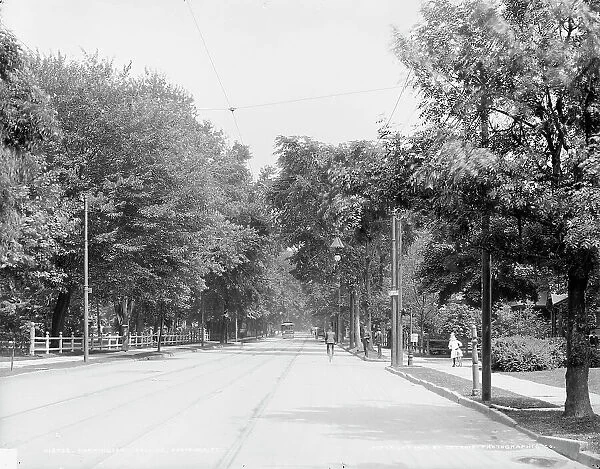 Farmington Avenue, Hartford, Ct. c1905. Creator: Unknown