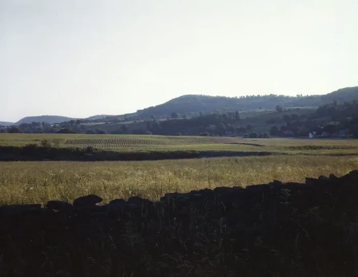 Framed Print : Farmland along the upper Delaware River in New York state. 1943. Creator: John Collier Framed Print : Farmland along the upper Delaware River in New York state. 1943. Creator: John Collier