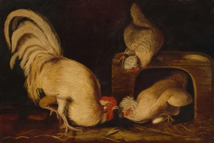 Framed Print : Farmyard Fowls, c. 1827. Creator: John James Audubon Framed Print : Farmyard Fowls, c. 1827. Creator: John James Audubon