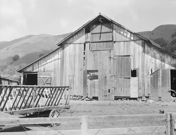 Framed Print : Farmyard of small Italian farmer, Santa Clara County, California, 1939. Creator: Dorothea Lange Framed Print : Farmyard of small Italian farmer, Santa Clara County, California, 1939. Creator: Dorothea Lange