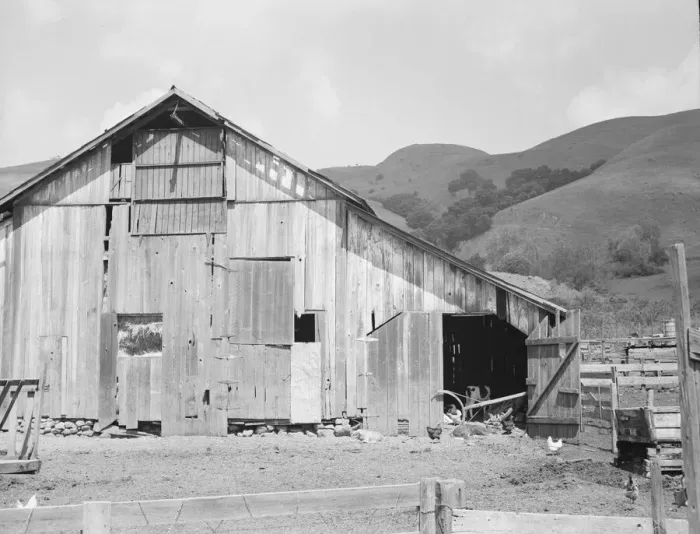 Framed Print : Farmyard of small Italian farmer, Santa Clara County, California, 1939. Creator: Dorothea Lange Framed Print : Farmyard of small Italian farmer, Santa Clara County, California, 1939. Creator: Dorothea Lange