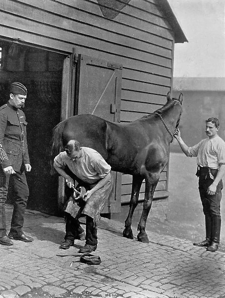 The Farrier-Major of the Royal Horse Guard, 1896. Artist: Gregory & Co
