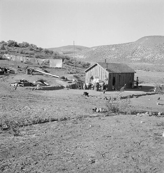 The fartherest house up Cow Hollow... Oregon, 1939. Creator: Dorothea Lange