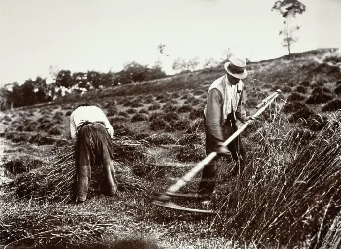 Framed Print : Faucheurs, Somme, 1890s, (1956). Creator: Eugene Atget Framed Print : Faucheurs, Somme, 1890s, (1956). Creator: Eugene Atget