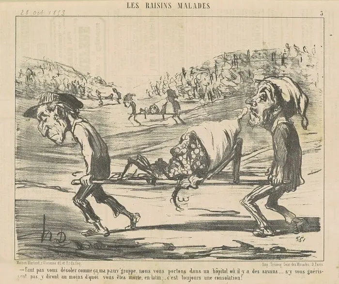 Framed Print : Faut pas vous désoler comme ca... 19th century. Creator: Honore Daumier Framed Print : Faut pas vous désoler comme ca... 19th century. Creator: Honore Daumier