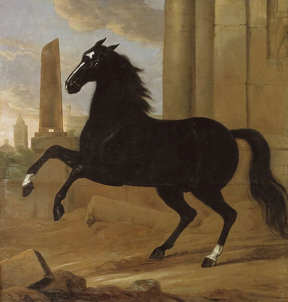 Favourite, one of King Karl XI's riding horses, 1689. Creator: David Klocker Ehrenstrahl