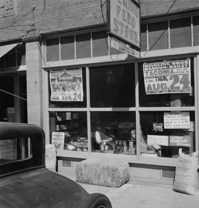Framed Print : Feed store opposite bank, Tenino, Thurston County, Western Washington, 1939. Creator: Dorothea Lange