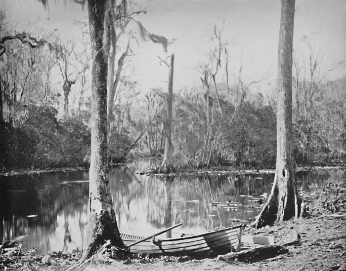 Framed Print : A Feeder of the St. Johns River, Florida, c1897. Creator: Unknown Framed Print : A Feeder of the St. Johns River, Florida, c1897. Creator: Unknown