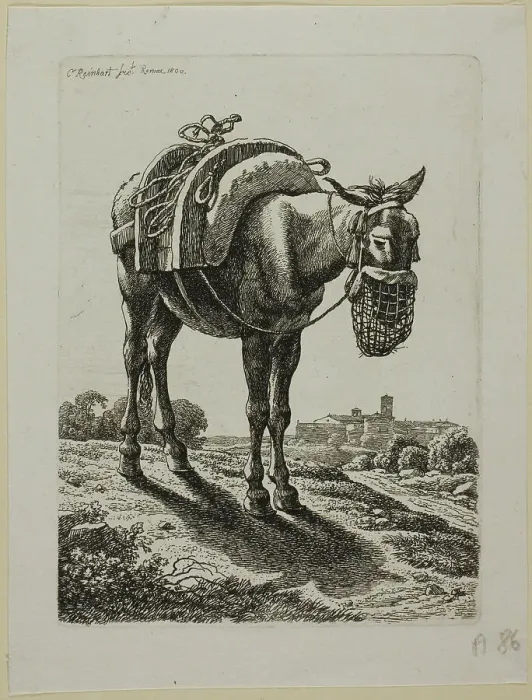 Framed Print : Feeding Mule - Front, from Die Zweite Thierfolge, 1800. Creator: Johann Christian Reinhart Framed Print : Feeding Mule - Front, from Die Zweite Thierfolge, 1800. Creator: Johann Christian Reinhart