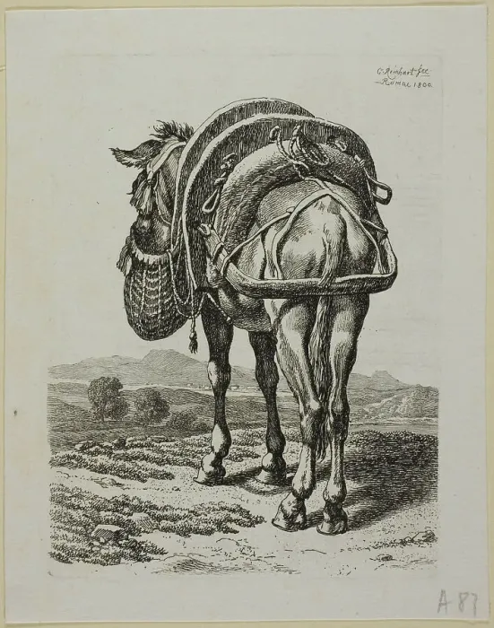 Framed Print : Feeding Mule - Rear, from Die Zweite Thierfolge, 1800. Creator: Johann Christian Reinhart Framed Print : Feeding Mule - Rear, from Die Zweite Thierfolge, 1800. Creator: Johann Christian Reinhart