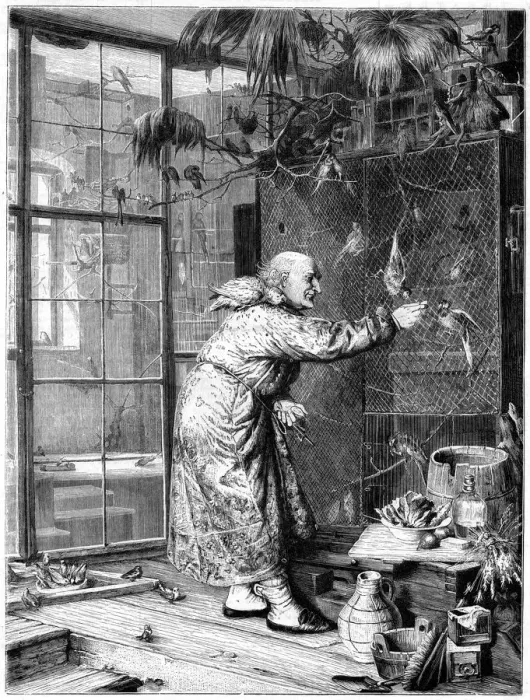 Framed Print : Feeding the pets, 1880 Framed Print : Feeding the pets, 1880