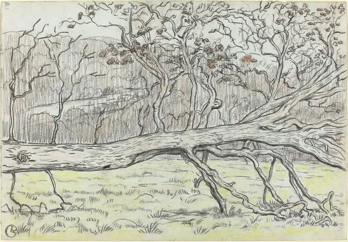Framed Print : Felled Tree, Normandy, 1898. Creator: Georges Lacombe Framed Print : Felled Tree, Normandy, 1898. Creator: Georges Lacombe