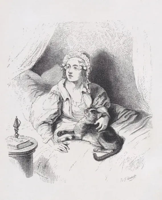 Framed Print : The Female Cat from The Complete Works of Beranger, 1836. Creator: John Thompson Framed Print : The Female Cat from The Complete Works of Beranger, 1836. Creator: John Thompson