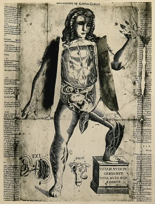 Framed Print : A female flap anatomy fugitive sheet, with layered flaps lifted to reveal the anatomy of the... Creator: Unknown Framed Print : A female flap anatomy fugitive sheet, with layered flaps lifted to reveal the anatomy of the... Creator: Unknown