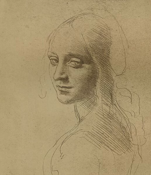 A female head, c1472-c1519 (1883), Artist: Leonardo da Vinci