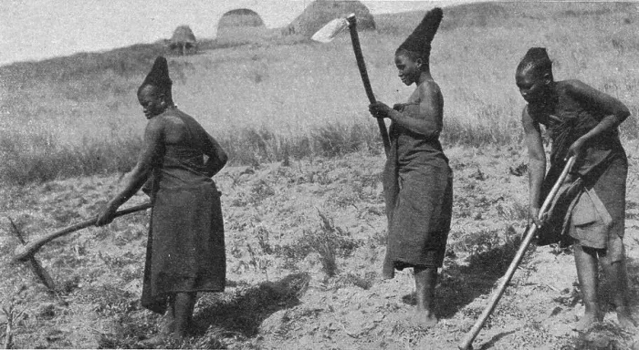Framed Print : Femmes zouloues aux champs; Afrique Australe, 1914. Creator: Unknown Framed Print : Femmes zouloues aux champs; Afrique Australe, 1914. Creator: Unknown