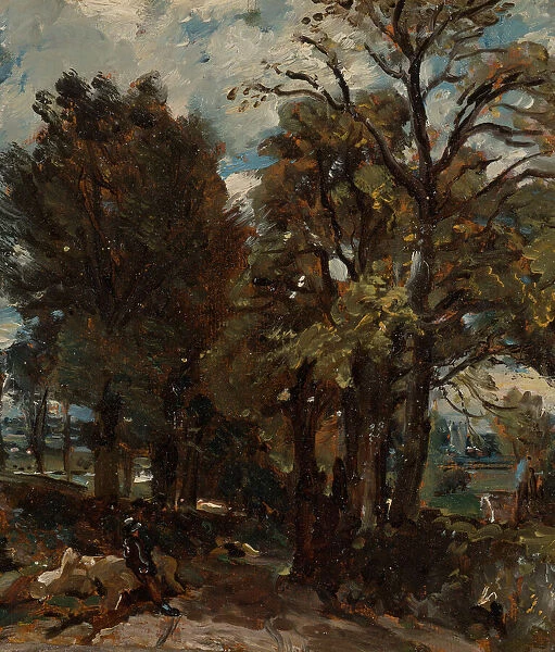 Fen Lane, East Bergholt, ca. 1811. Creator: John Constable