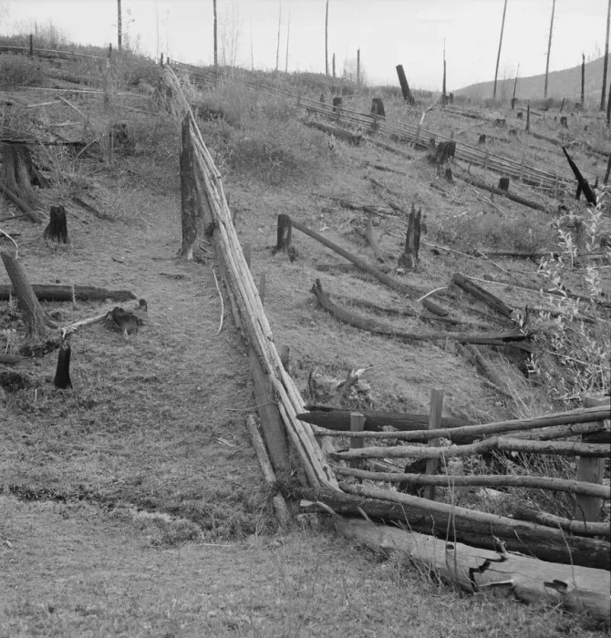 Framed Print : Fencing on new farms in cut-over area, Priest River Valley, Bonner County, Idaho, 1939. Creator: Dorothea Lange Framed Print : Fencing on new farms in cut-over area, Priest River Valley, Bonner County, Idaho, 1939. Creator: Dorothea Lange