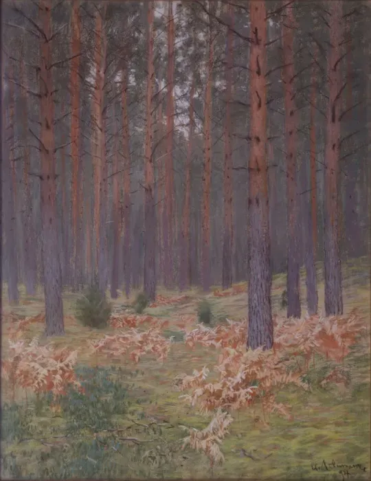 Framed Print : Ferns, 1894. Artist: Levitan, Isaak Ilyich (1860-1900) Framed Print : Ferns, 1894. Artist: Levitan, Isaak Ilyich (1860-1900)