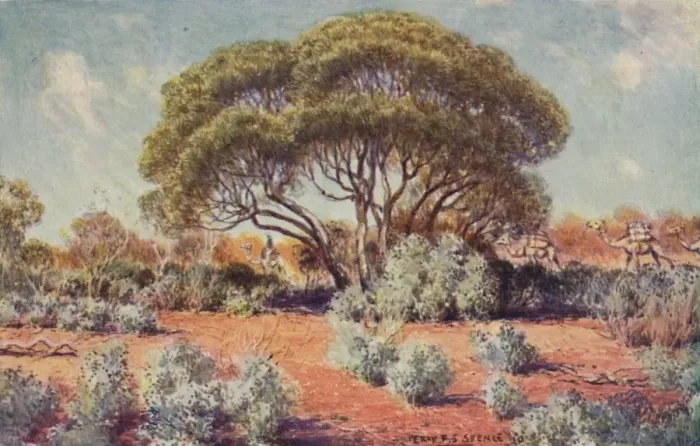 Framed Print : A Fertile Spot in Central Australia, 1923. Creator: Unknown Framed Print : A Fertile Spot in Central Australia, 1923. Creator: Unknown