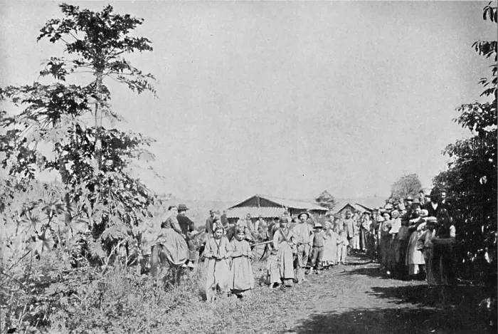 Framed Print : Festa em uma Colonia, (Party in a colony), 1895. Artist: Axel Frick Framed Print : Festa em uma Colonia, (Party in a colony), 1895. Artist: Axel Frick