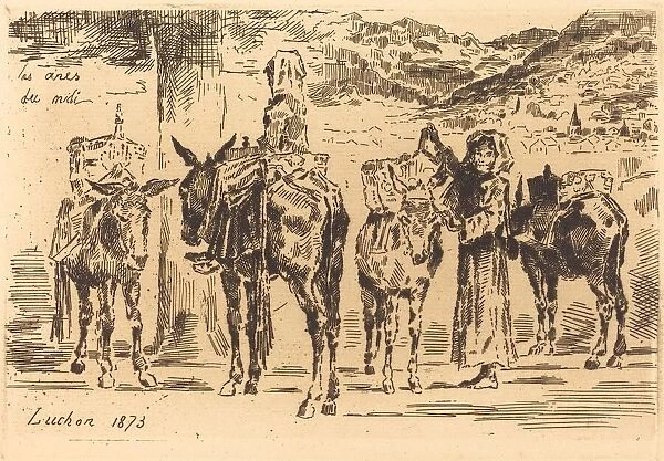 Feuilles d Anes du Midi, 1873. Creator: Felix Hilaire Buhot