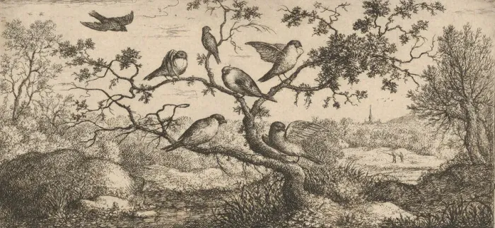 Framed Print : Ficedula, Piuoyne (The Bullfinch): Livre d Oyseaux (Book of Birds), 1655-1660 Framed Print : Ficedula, Piuoyne (The Bullfinch): Livre d Oyseaux (Book of Birds), 1655-1660