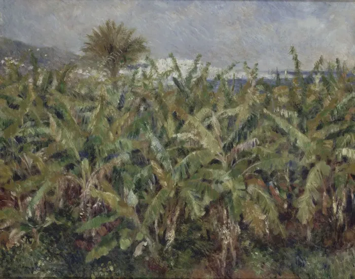 Framed Print : Field of Banana Trees (Champ de bananiers), 1881. Artist: Renoir, Pierre Auguste (1841-1919) Framed Print : Field of Banana Trees (Champ de bananiers), 1881. Artist: Renoir, Pierre Auguste (1841-1919)