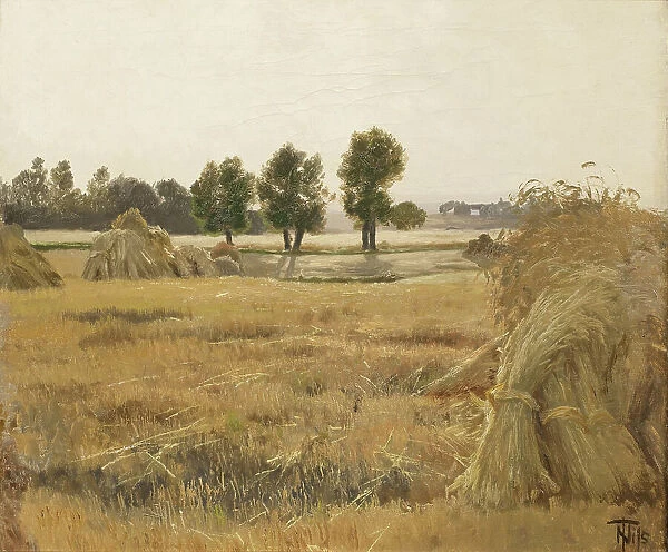 Field with sheaves of grain, 1857-1905. Creator: Thorvald Niss
