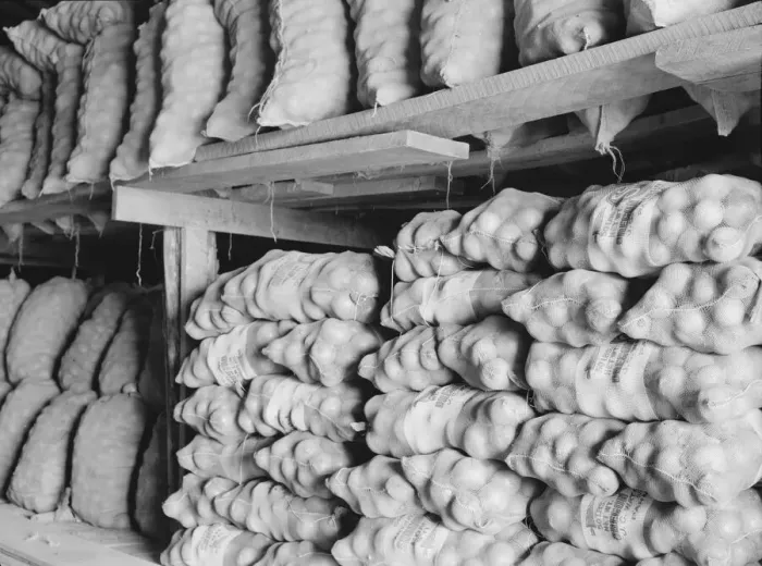 Framed Print : Fifty-pound bags of onions in storage shed, ready for market, Malheur County, Oregon, 1939. Creator: Dorothea Lange Framed Print : Fifty-pound bags of onions in storage shed, ready for market, Malheur County, Oregon, 1939. Creator: Dorothea Lange