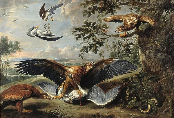 Fight between Eagles, mid-17th century. Creator: Workshop of Pieter Boel