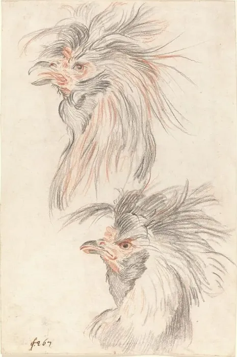 Framed Print : Fighting Cock, c. 1775. Creator: Johann Rudolf Schellenburg Framed Print : Fighting Cock, c. 1775. Creator: Johann Rudolf Schellenburg