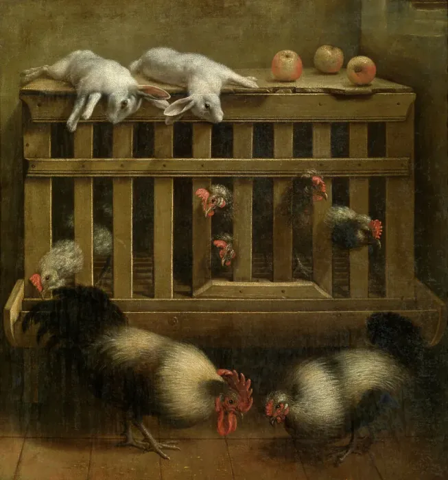 Framed Print : Fighting Cocks, 17th century. Creator: Anon Framed Print : Fighting Cocks, 17th century. Creator: Anon