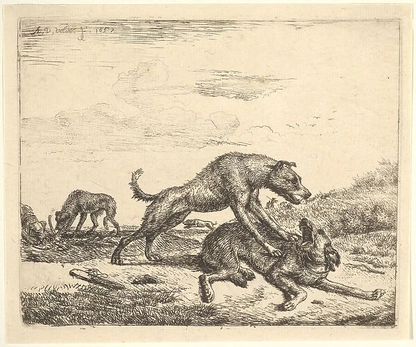 Fighting Dogs, from Different Animals, 1657. Creator: Adriaen van de Velde