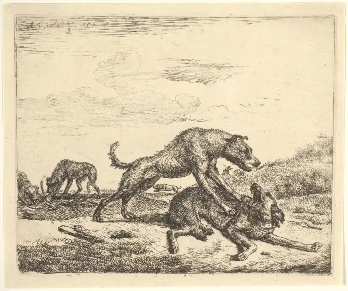Framed Print : Fighting Dogs, from Different Animals, 1657. Creator: Adriaen van de Velde Framed Print : Fighting Dogs, from Different Animals, 1657. Creator: Adriaen van de Velde