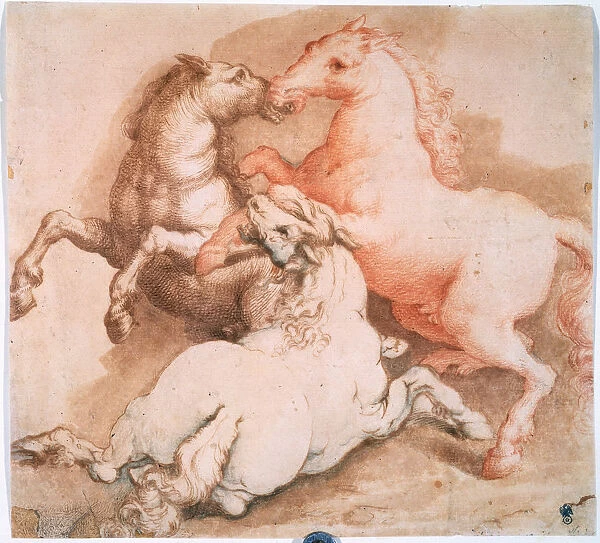 Fighting Horses, c1550-1600.Old Master