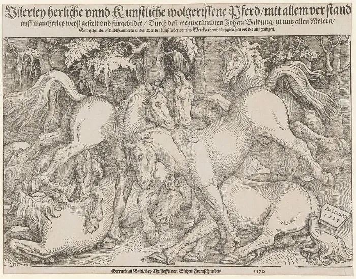 Framed Print : Fighting stallions, 1534. Creator: Baldung (Baldung Grien), Hans (1484-1545) Framed Print : Fighting stallions, 1534. Creator: Baldung (Baldung Grien), Hans (1484-1545)
