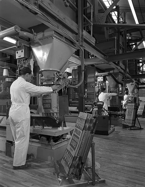 Filling bags of animal feed, Spillers Animal foods, Gainsborough, Lincolnshire, 1963