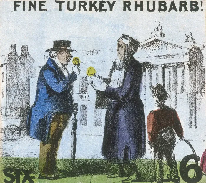 Framed Print : Fine Turkey Rhubarb!, Cries of London, c1840. Artist: TH Jones Framed Print : Fine Turkey Rhubarb!, Cries of London, c1840. Artist: TH Jones