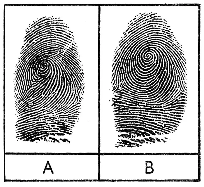 Framed Print : Fingerprints of identical twins, 1956 Framed Print : Fingerprints of identical twins, 1956