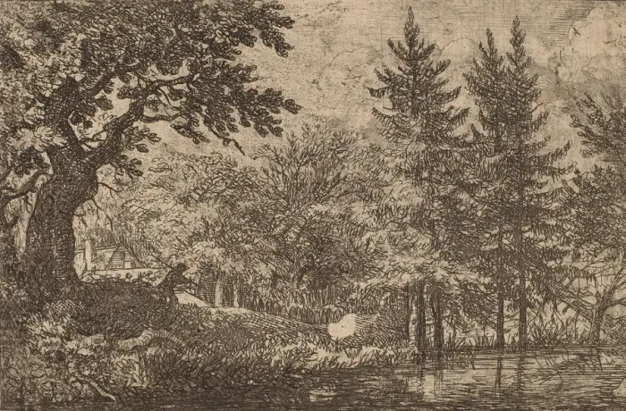 Framed Print : Fir Trees at the Water, probably c. 1645 / 1656. Creator: Allart van Everdingen Framed Print : Fir Trees at the Water, probably c. 1645 / 1656. Creator: Allart van Everdingen