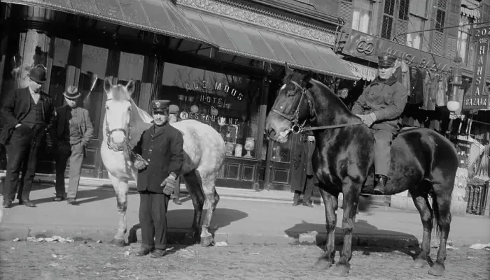 Framed Print : Fire engine horses, between c1910 and c1915. Creator: Bain News Service Framed Print : Fire engine horses, between c1910 and c1915. Creator: Bain News Service