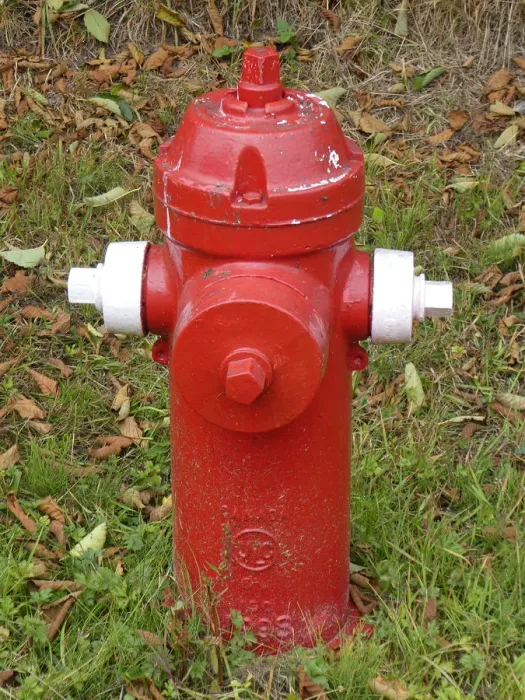Framed Print : Fire Hydrant in British Columbia, Canada. Creator: Unknown Framed Print : Fire Hydrant in British Columbia, Canada. Creator: Unknown