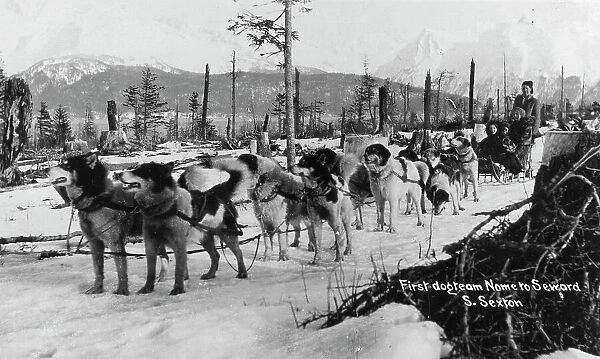First dog team to go from Nome to Seward, between c1900 and c1930. Creator:s Sexton