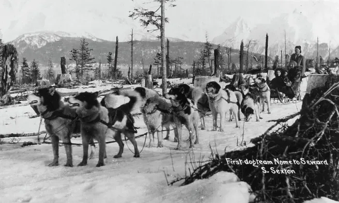 Framed Print : First dog team to go from Nome to Seward, between c1900 and c1930. Creator:s Sexton Framed Print : First dog team to go from Nome to Seward, between c1900 and c1930. Creator:s Sexton