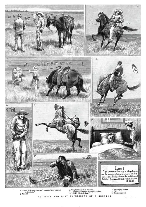 Framed Print : My First and Last Experience of a Broncho, 1891. Creator: Unknown Framed Print : My First and Last Experience of a Broncho, 1891. Creator: Unknown